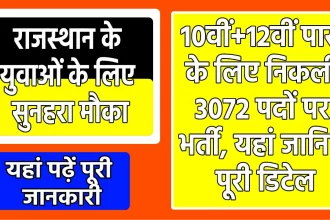 Rajasthan Industrial Security Force Recruitment 2023